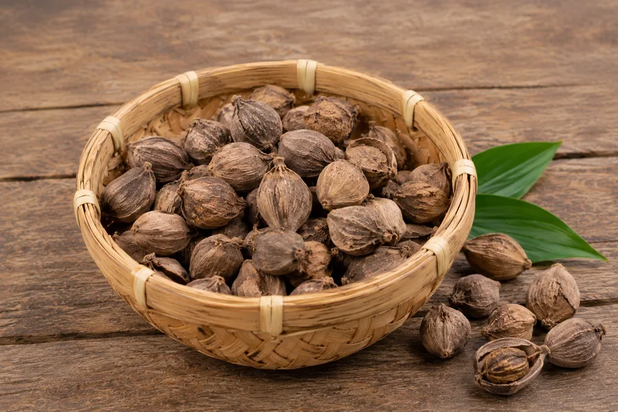 Kapulaga (Cardamom)
